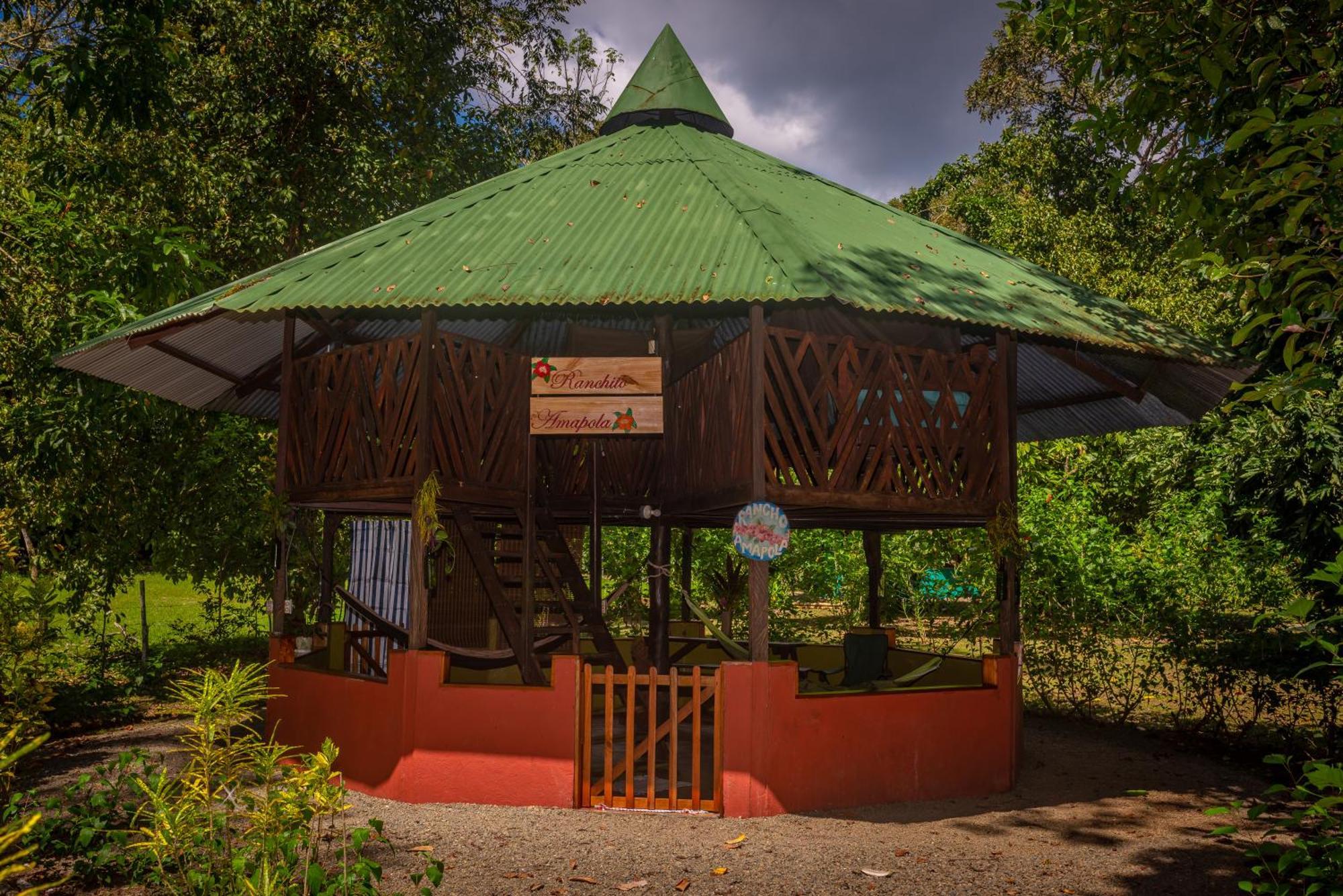 Dolphin Quest Costa Rica Piedras Blancas Exterior foto